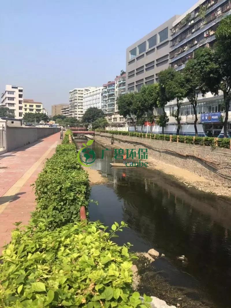 廣州白云區棠景沙涌已完成雨污分流(圖2)